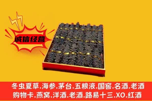 龙港区回收海参